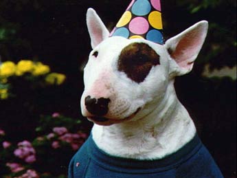 The original party animal.