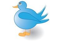 bird-twitter.jpg