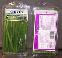 chive.jpg