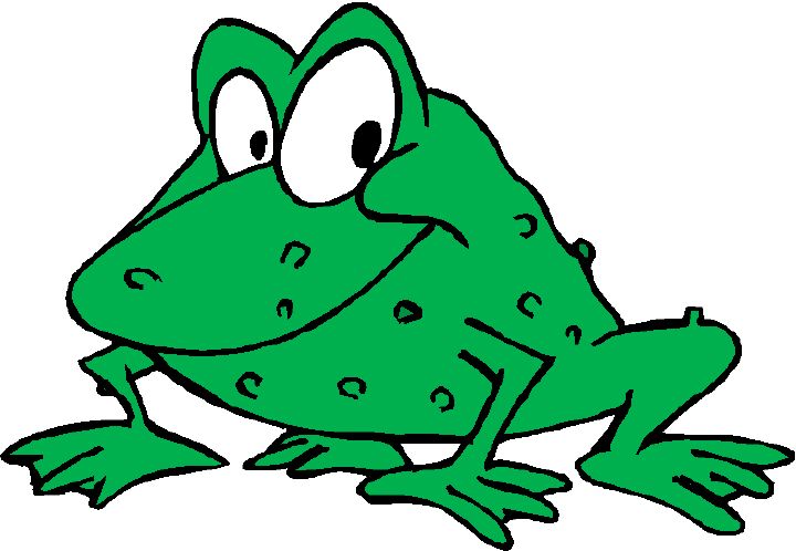 frog.jpg