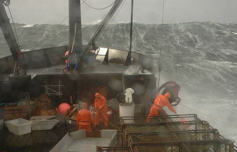 deadliest_catch.jpg