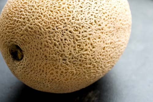 cantaloupe_skin.jpg