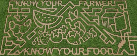 maze-548.jpg
