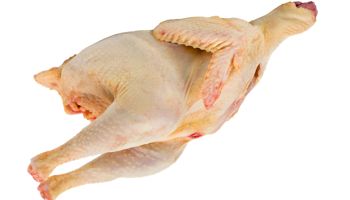chicken-carcass-350.jpg