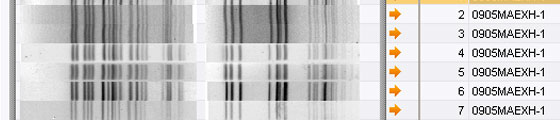 lead_pfge_fingerprints_560px.jpg