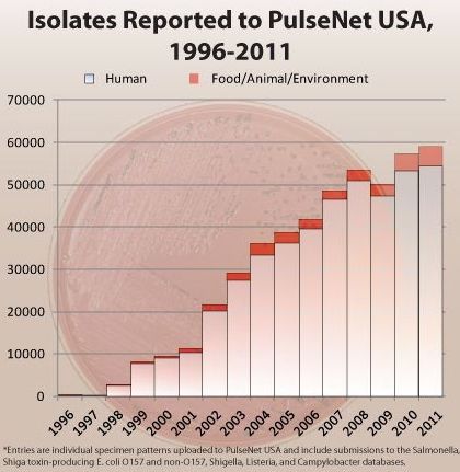 pulsenet-chart-425.jpg