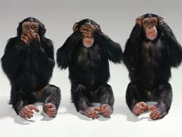 Cruise Critic Monkeys