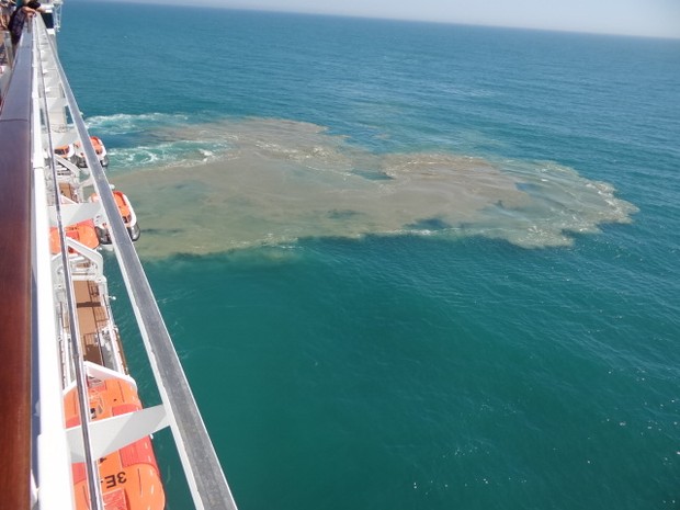 MSC Orchestra Cruise Ship