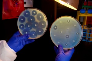 ResistantBacteria