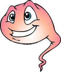 sperm