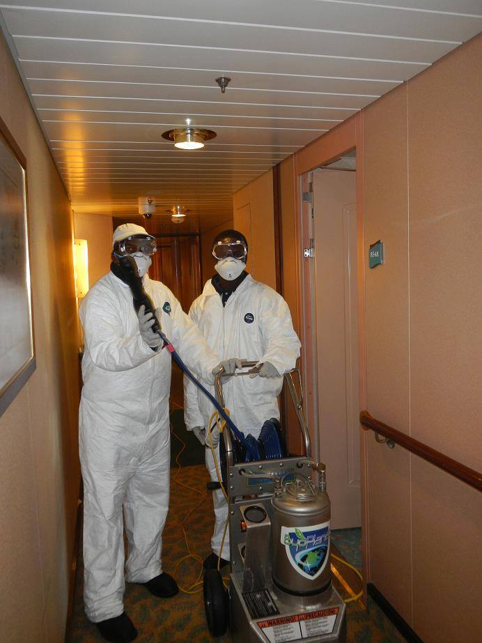 Norovirus