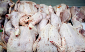 http://www.dreamstime.com/royalty-free-stock-image-raw-chickens-supermarket-image33900426