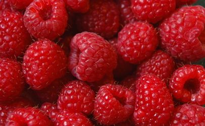 RaspberriesCloseupMain
