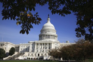 iStock_000004688619Medium1