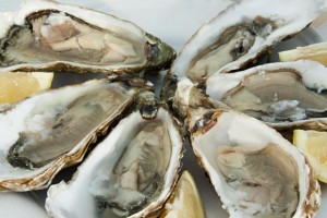 89949067_oysters_237620c