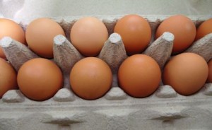 Eggs-in-carton_Main