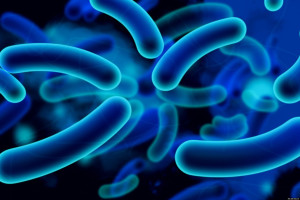 o-E-COLI-
