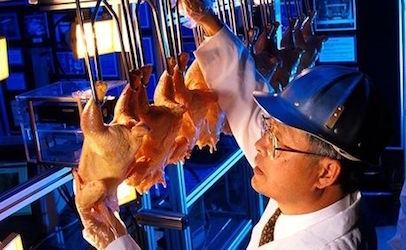 poultryinspection_406x250