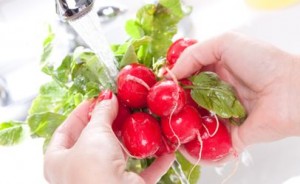 washingradishes-406