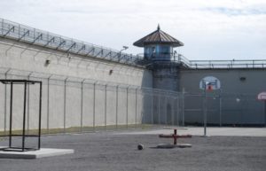 JaileD
