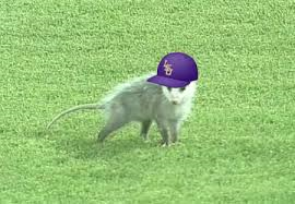 Rally Possum May 7 - June 12, 2016