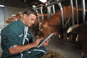 http://www.dreamstime.com/stock-images-farmer-cows-image26818934