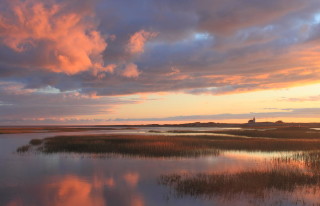 marsh