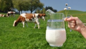 raw-milk