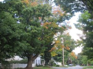 2016-10-09 12.14.10a