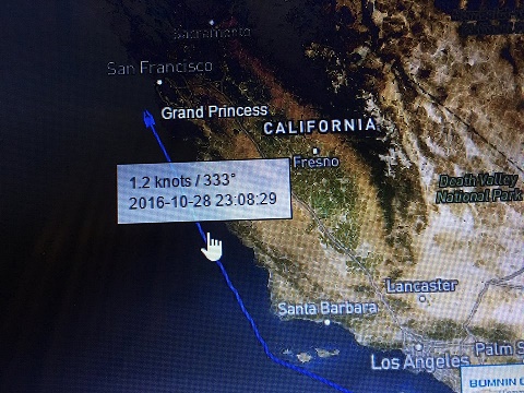 Grand Princess via Marine Traffic