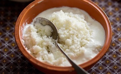 Umphokoqo