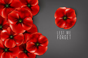 Lest we forget