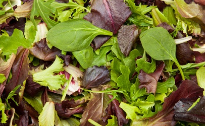http://www.dreamstime.com/stock-image-fresh-mix-salad-image23862041