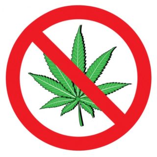 no-weed