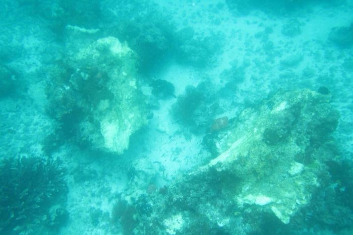 Caledonia Sky Reef Damage