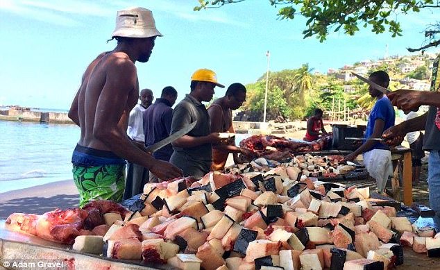 Whale Killing - St. Vincent