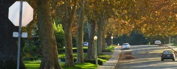 East sacramento