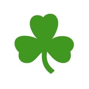 Morristown St. Patrick's Day Parade Criminal Lawyers
