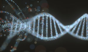 Rules for Patenting Genetic Biomarkers Are Updated in Roche v. Cepeid