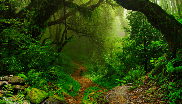 Introduction to the Biodiversity Act of India