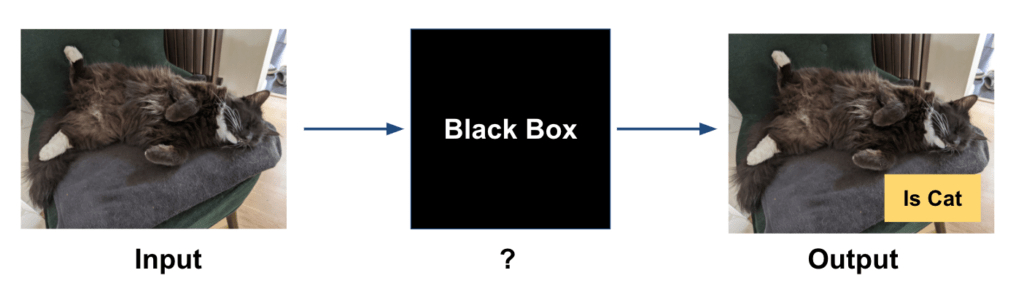 AI blackbox