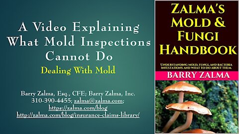 A Video Explaining What Mold Inspections Cannot Do