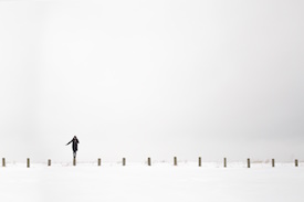 Snow scene